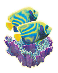 Leng's Fish