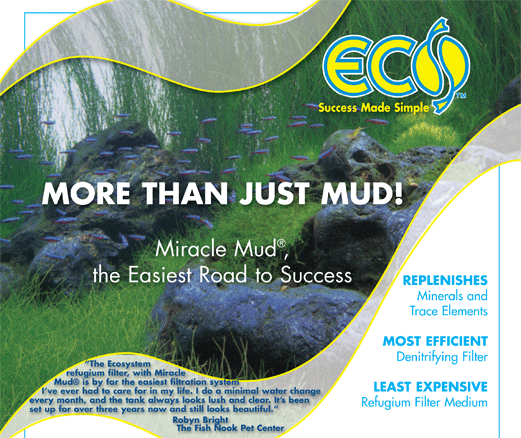 Photo-for-Miracle-Mud-Freshwater-Page-for-web